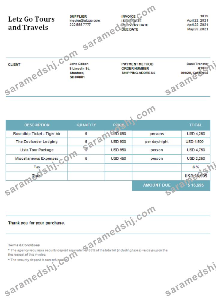 USA Letz Go Tours and Travels invoice